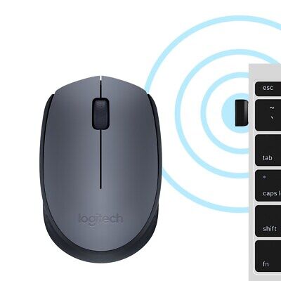 Souris PC Logitech M170 